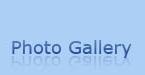 Galeria de Fotos
