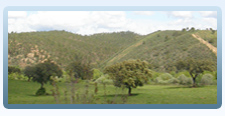 Paisagens do Alentejo 1 - Turismo Rural