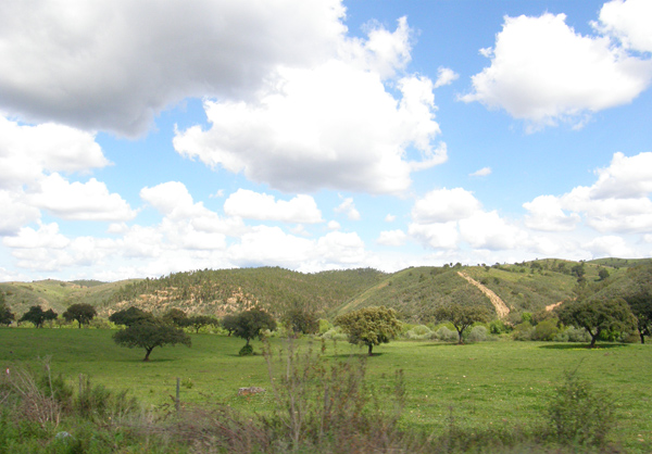 turismo rural