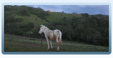 Paisagens do Alentejo 2 - Turismo Rural