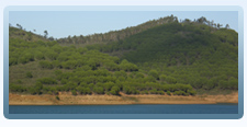 Paisagens do Alentejo 3 - Turismo Rural