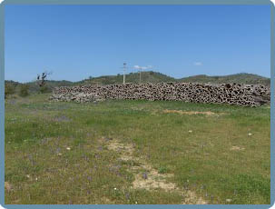 TURISMO RURAL
